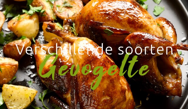 Verschillende soorten gevogelte